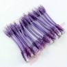 24 Pack of 20cm (8-inch) in Purple - Cat6 High Grade 250MHz 24AWG LSZH Patch Cables for 2U Patching
